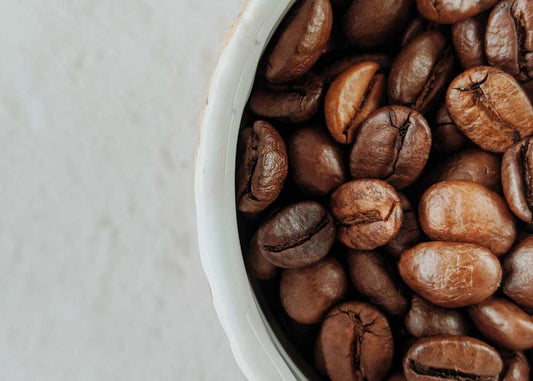 What are the different types of coffee beans?
